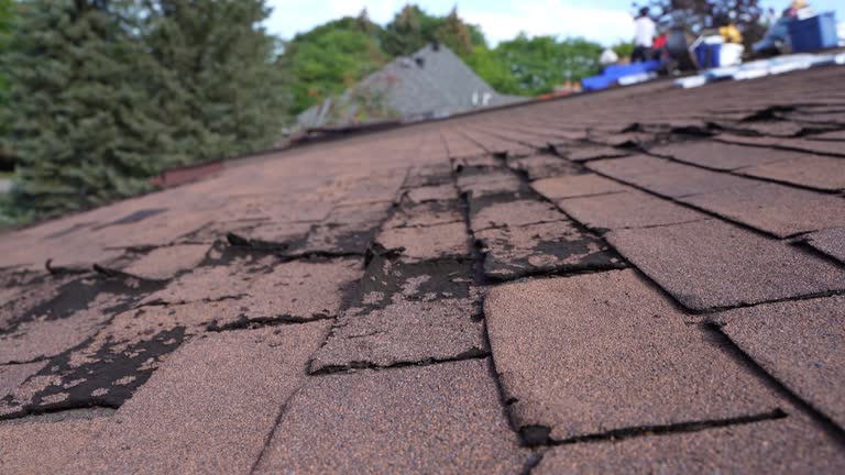 Best Hot Roofs  in South Lake Tahoe, CA