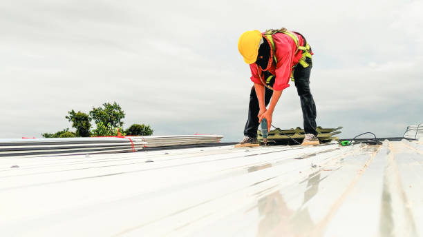 Best Sheet Metal Roofing  in South Lake Tahoe, CA